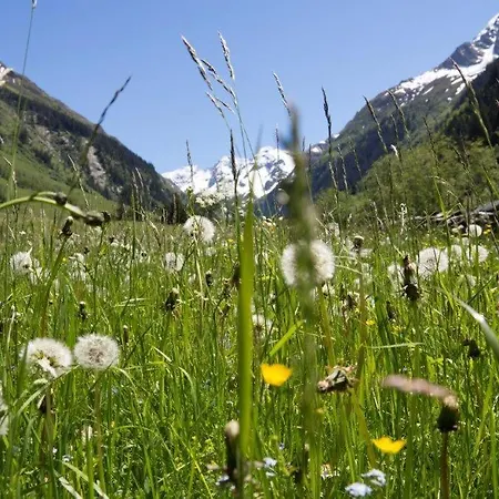 Neuhaushof * Hollersbach im Pinzgau