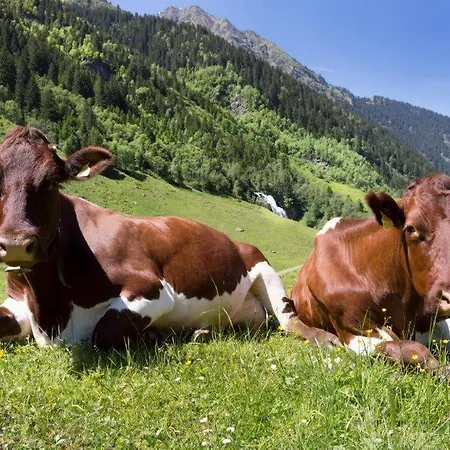 Neuhaushof * Hollersbach im Pinzgau