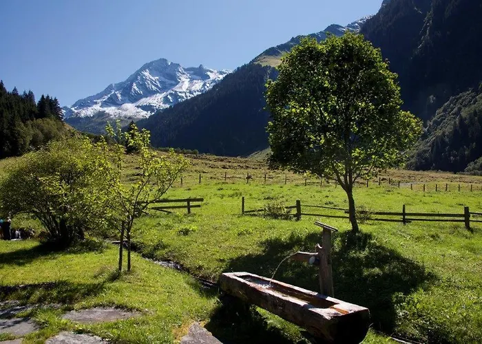 Neuhaushof * ホラースバッハ・イム・ピンツガウ