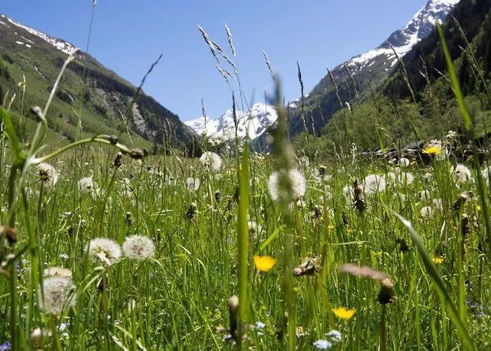 Neuhaushof * ホラースバッハ・イム・ピンツガウ
