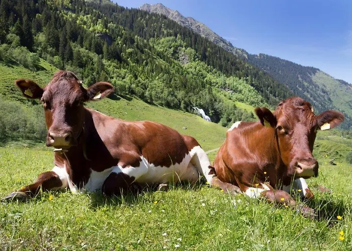 Neuhaushof * Hollersbach im Pinzgau
